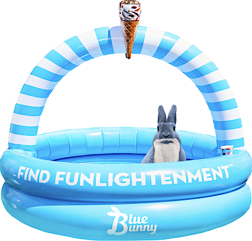 bunny pool float